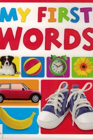 my first words, baby board book