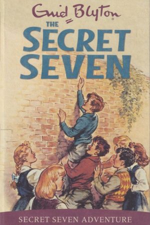 the secret seven bk 2